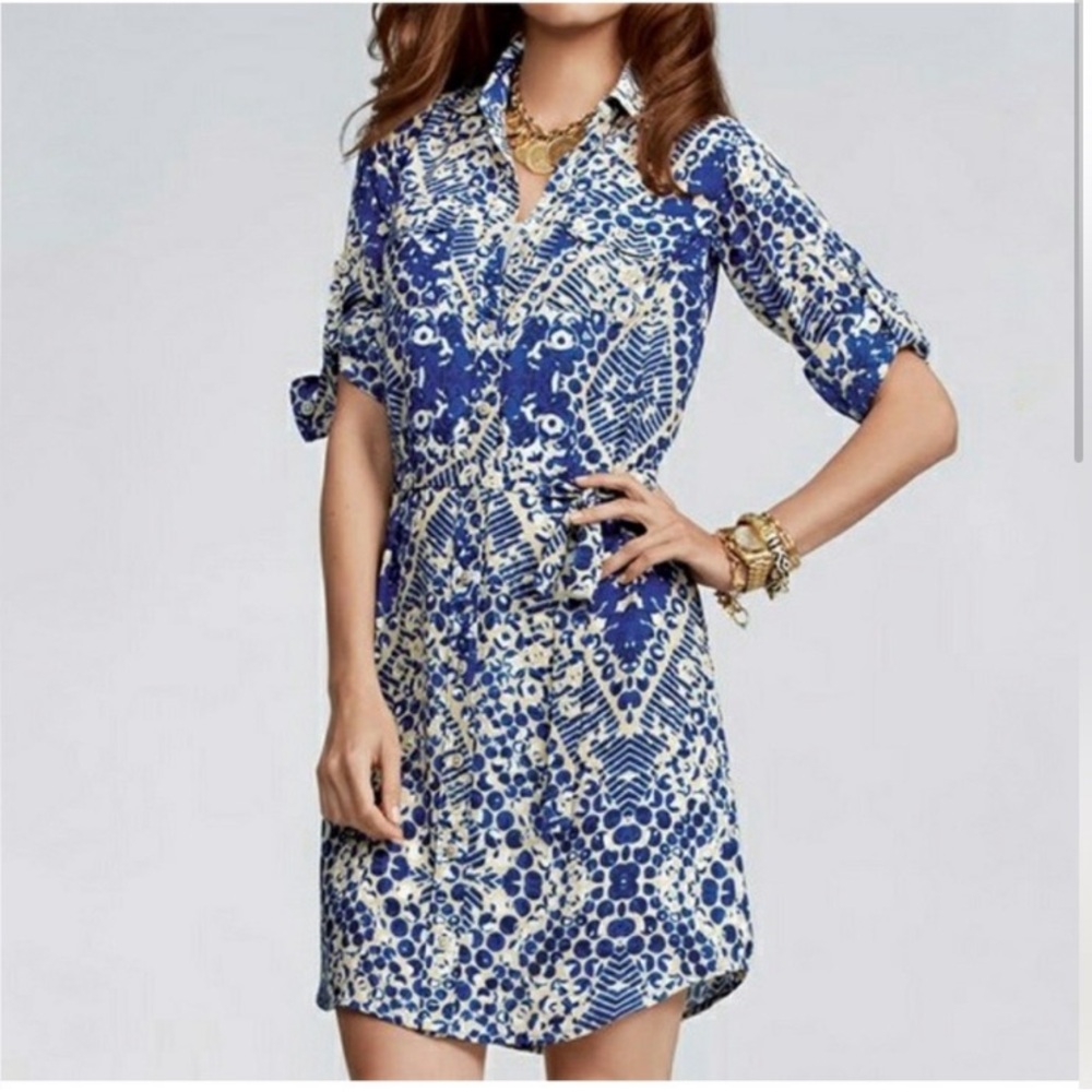 CAbi Blue and White 3/4 Sleeve Crew Neck Dress